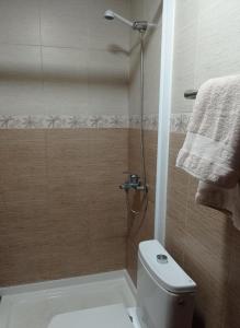 a bathroom with a shower with a toilet and a shower at La viña in Melilla