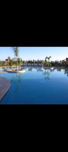 a large pool of blue water with trees in it at Villa Sara avec sa piscine et jardin in Marrakesh