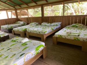 Un grupo de 4 camas en una habitación en Hospedaje SELVA DE AVES, en Leticia