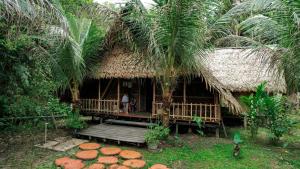 a hut with a palm tree and a person standing in it at Hospedaje SELVA DE AVES in Leticia +36 photos
