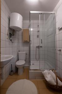 y baño con ducha, aseo y lavamanos. en Janówka, en Łomża