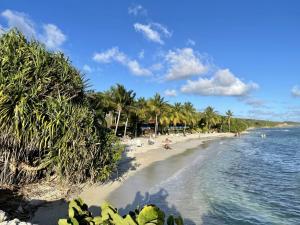 圣安尼Village Vacances Sainte Anne - Vue exceptionnelle Piscine et Plage Vue mer - Barbadine 1010 by Studios Barbadine的棕榈树海滩和水中的人