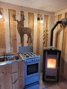 a kitchen with a stove and a deer head on the wall at Le Nid Du Caveau in Ferrette