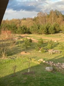 un campo con un parque con un banco y árboles en MilAdrija en Rokiškis