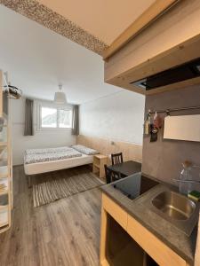 セルヴァ・ディ・ヴァル・ガルデーナにあるBizStyle Apartmentのベッドとキッチン付きの小さな部屋