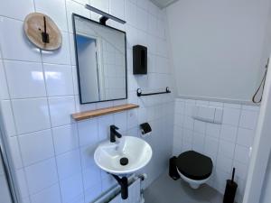 een badkamer met een wastafel en een toilet bij Hotel de Slapende Hollander in Kaatsheuvel