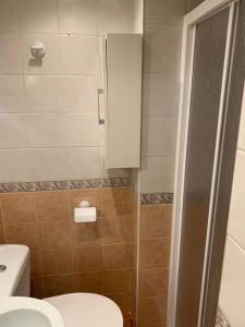 a small bathroom with a toilet and a shower at Apartamento Plaza Pradollano 1 in Sierra Nevada