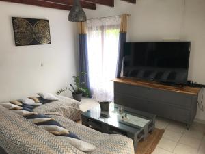 a living room with two couches and a flat screen tv at Villa Longani Passion pour des vacances bucoliques en famille in Petite Île