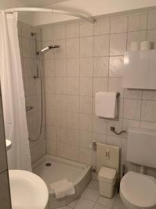 ein Bad mit einer Dusche, einem WC und einem Waschbecken in der Unterkunft KMH 1 Zi-Apartment in St. Blasien