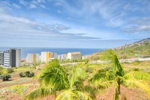 a view of a city with palm trees and the ocean at Levada dos Piornais, a Home in Madeira in Funchal