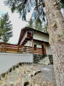 a house with a tree in front of it at Hill House SD in Topliţa