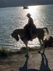 a man riding a horse by the water at Ella suite in Majdal Shams
