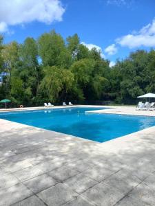 a blue swimming pool with chairs and trees at Solares de la Bahía in Tigre +20 photos