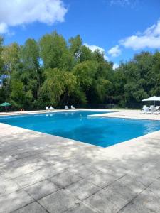 una piscina azul con sillas y árboles en Solares de la Bahía en Tigre