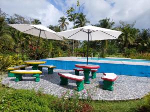 um grupo de mesas de piquenique e guarda-sóis ao lado de uma piscina em All Rankins Eco-Lodge em Tortuguero