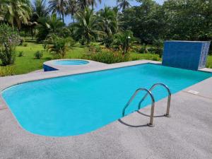 a large blue swimming pool in a yard at All Rankins Eco-Lodge in Tortuguero