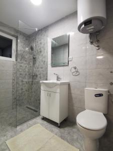 a bathroom with a toilet and a shower and a sink at Apartmani Ostojic in Vrdnik