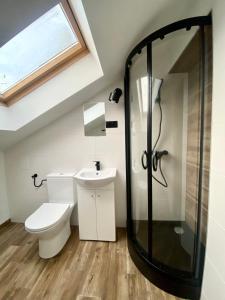 シュクラルスカ・ポレンバにあるWilla Ametystのバスルーム(トイレ、ガラス張りのシャワー付)