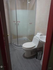 un bagno con doccia, WC e lavandino di Apartamento por dia a Puerto Montt Altre 2 foto
