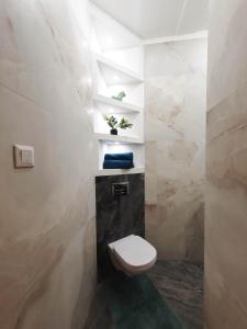 ein Bad mit einem weißen WC in einem Zimmer in der Unterkunft Mezzanine de Grinzing in Wien