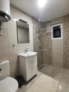 a bathroom with a toilet and a sink and a shower at Apartmani Ostojic in Vrdnik