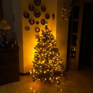 einen Weihnachtsbaum in einem Wohnzimmer mit Lichtern in der Unterkunft Hin Yerevantsi Hotel in Yerevan