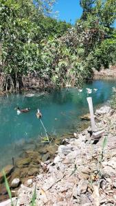 Fotografie z fotogalerie ubytování Villa ChatterForest Dalyan v destinaci Ortaca