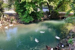 Fotografie z fotogalerie ubytování Villa ChatterForest Dalyan v destinaci Ortaca + 18 fotografií