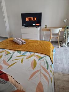 Televízia a/alebo spoločenská miestnosť v ubytovaní BNB L'Orleanais Hyper Centre d'Orléans proche Gare PARKING