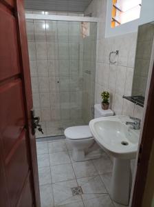 a bathroom with a toilet and a sink and a shower at Hotel Apartamentos "Dominó" in Tarija