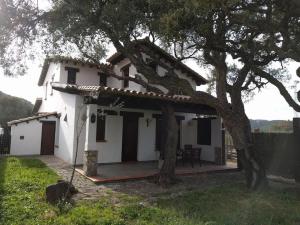 uma casa branca com uma árvore em frente em CASA HUGANA em Benalup-Casas Viejas