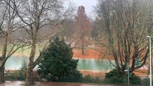 Un árbol de Navidad en un parque junto a un lago en Geroweiher Doppelbettzimmer Mönchengladbach-Stadtmitte, en Mönchengladbach