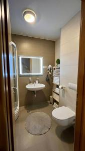 La salle de bains est pourvue de toilettes et d'un lavabo. dans l'établissement Apartment 533 at Aparthotel Vucko Jahorina, à Jahorina