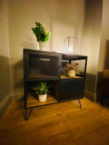 a tv stand with potted plants on top of it at The Etherley - Zillo in Bishop Auckland