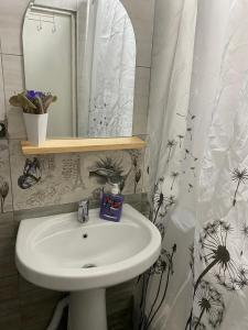 La salle de bains est pourvue d'un lavabo, d'un miroir et d'un rideau de douche. dans l'établissement Sargsyans guest hause, à Bjni