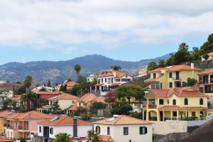 豐沙爾的住宿－Sao Martinho, a Home in Madeira，山丘上的小镇,有房子