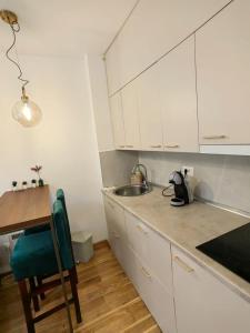 Η κουζίνα ή μικρή κουζίνα στο Titova vila Istra apartman Jovanka