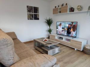 TV a/nebo společenská místnost v ubytování Casa Rigo en Sigüeiro, cerca de Santiago de Compostela