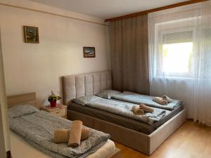 1 dormitorio con 2 camas y ventana en Cheap Outlet Center Apartment with Pool, en Parndorf