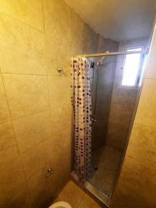 a bathroom with a shower with a toilet and a window at Departamento en Mendoza Capitál in Mendoza