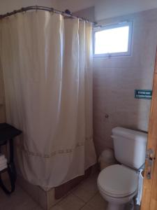 ein Bad mit einem WC und einem Duschvorhang in der Unterkunft Cabañas Shehuen Aike Lugar encantador con sol y tranquilidad in Dina Huapi