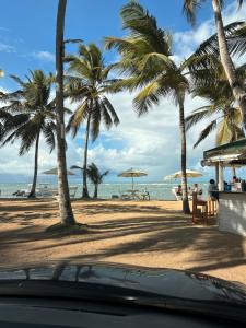 uma vista para uma praia com palmeiras e para o oceano em Las Terrenas beachfront 2 bedrooms condo with pool em Las Terrenas