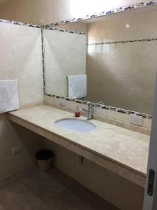 uma casa de banho com um lavatório e um espelho grande em Casa Departamento Funes Bella Vista Wifi Cochera Pileta em Funes