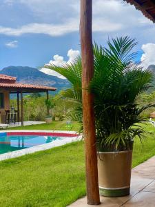a potted plant sitting next to a swimming pool at Casa de Campo - Rancho Braga Aguiar in Ibicoara