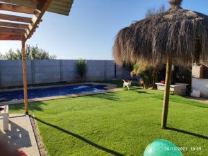 a dog running in a yard with a straw umbrella at Casa de totys en la Serena in La Serena