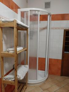 y baño con ducha y puerta de cristal. en Appartamento vista Parco Adamello Brenta, en Ossana