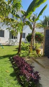 einen Garten mit zwei Palmen und lila Blumen in der Unterkunft Mandakaru Residence Flat da Isa 01 in Porto De Galinhas