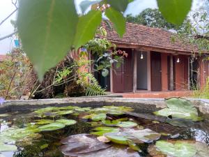 Zahrada ubytování LITTLE TRANG AN HOMESTAY