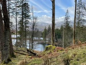 a view of a lake in a forest with trees at Troutbeck Hot Tub Lodge 4 in Windermere
