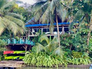 atropical house with a blue deck and palm trees at Palmeras del Río HOTEL in La Viña